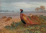 Archibald Thorburn The Sentinel painting